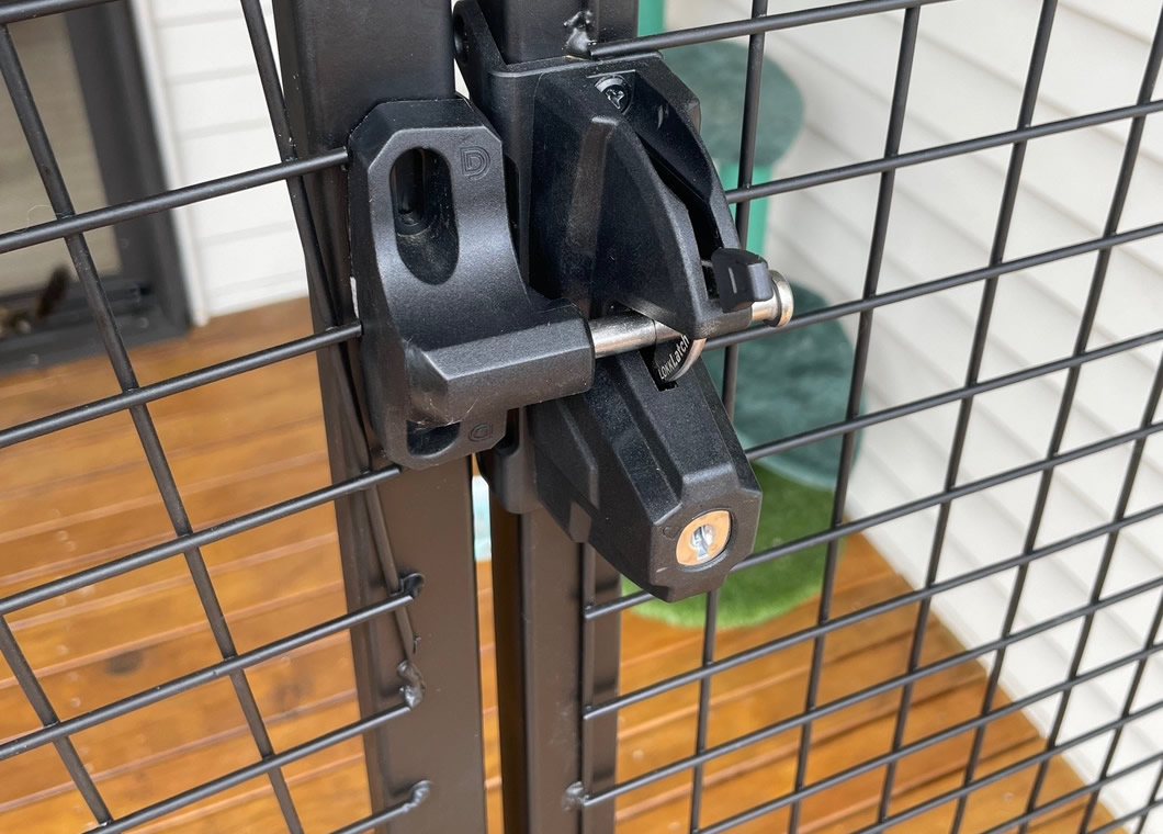Catio 2